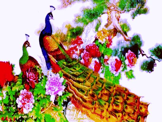 好久没见面了老同学想你了,老同学是我一生的牵挂