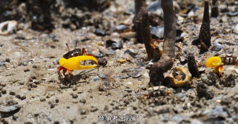 这么多限制级的画面和台词，竟然都能免费观看