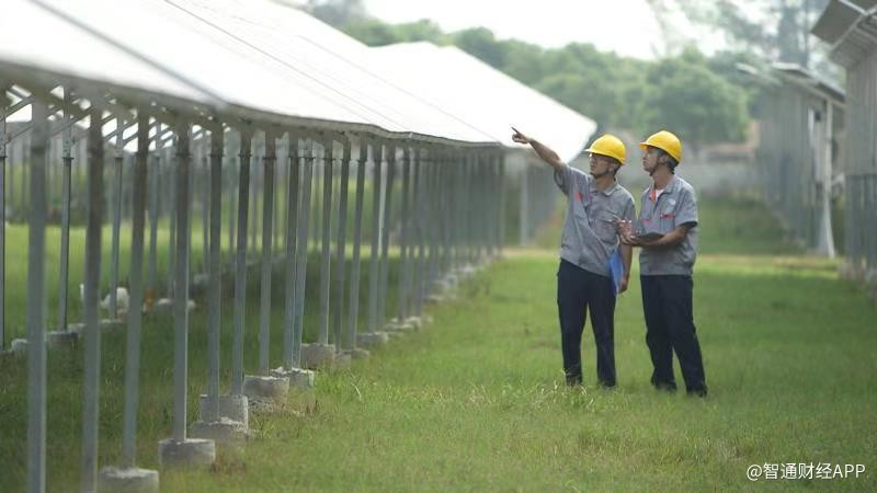 调研通︱江山控股：行业已现投资机会公司价值被严重低估