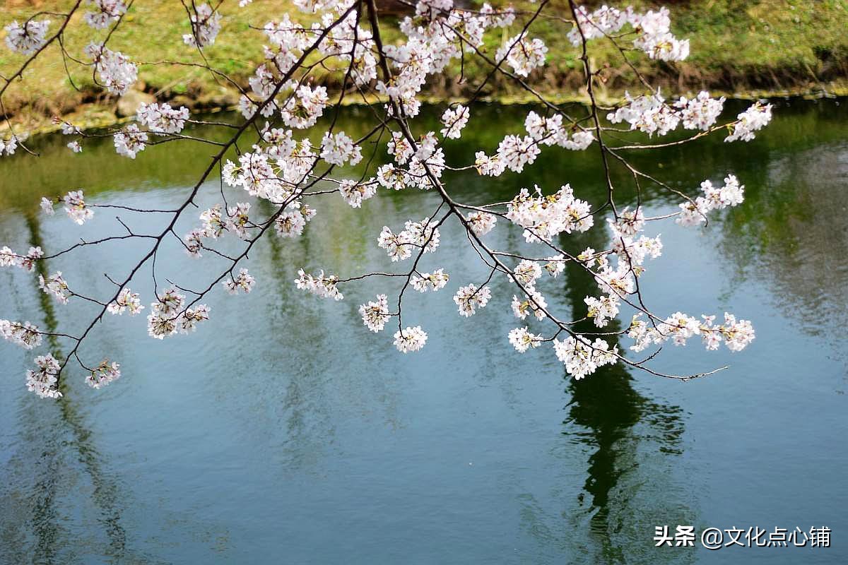 杜甫豁达的经典诗句,杜甫七律经典