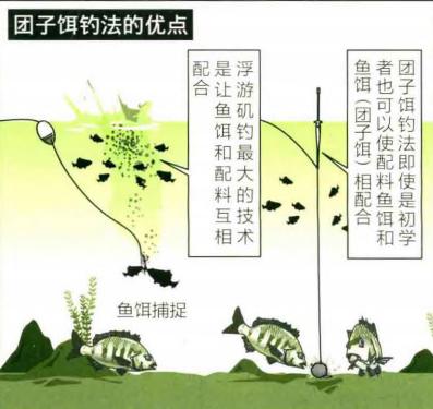 「日本专业矶钓书籍」团子饵钓法，初学者最佳矶钓钓技