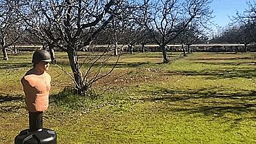 强弩的*伤杀**力能和枪械媲美吗?