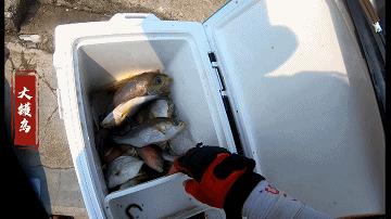 洞头海钓赶海最佳地点,阳江大镬岛矶钓点