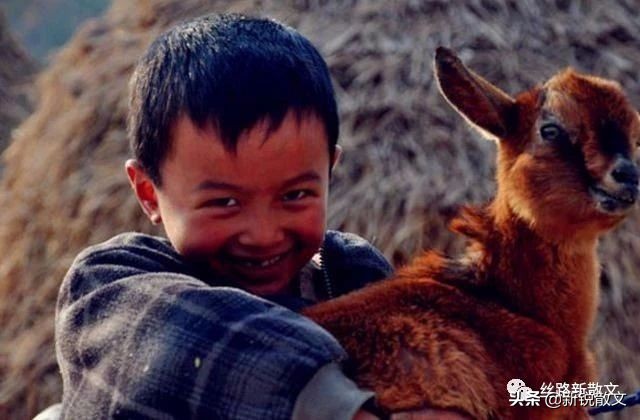 冬天小院自制炉子,农村瓦匠自制炉子