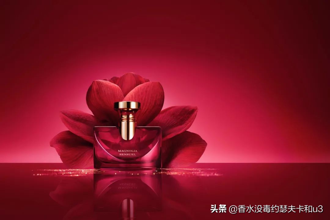 宝格丽香水：经典“三茶”后真无好香