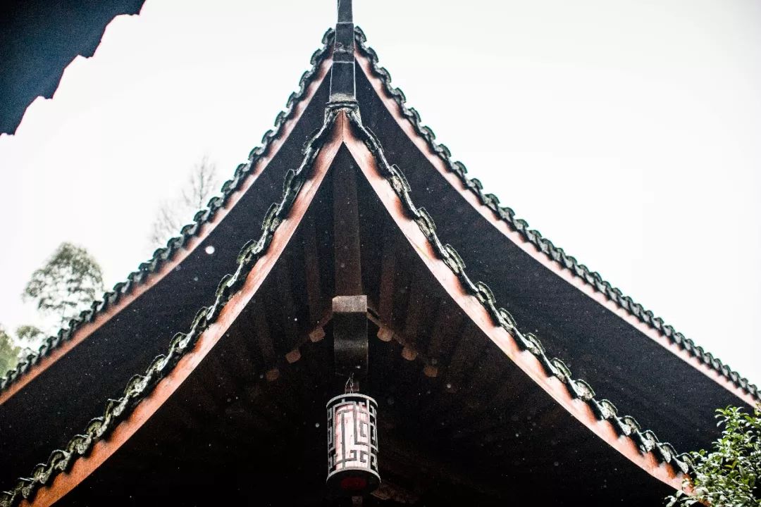 杭州孤山梅园图片,杭州赏梅园