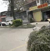 上厕所没有厕纸只能用绳子,上厕所没有卫生纸能用吗