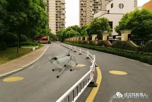 今年最火爆的智能机器狗,最新款智能机器狗推荐