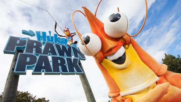 来了新西兰才知道的那些事