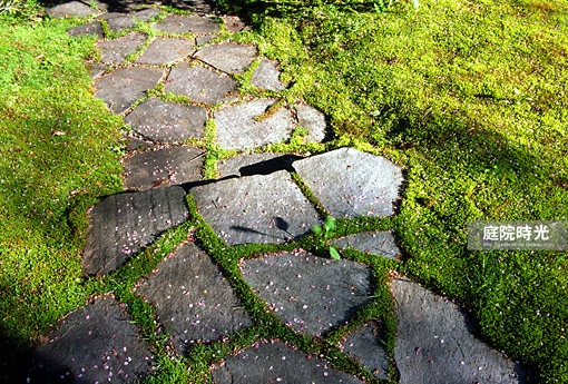 中式庭院古代老石板铺装,庭院铺装样式区域颜色搭配