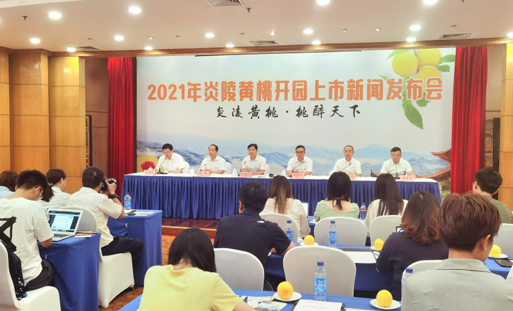 炎陵黄桃资料,黄桃生长历程