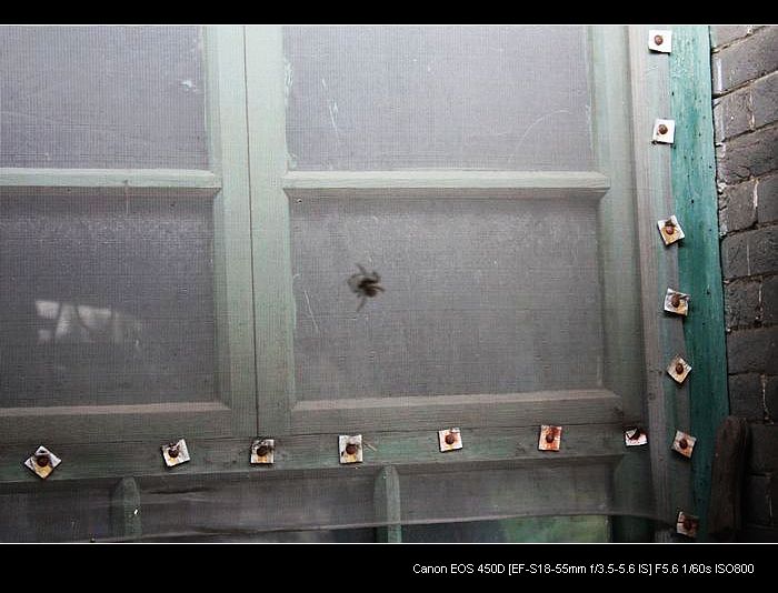 记录农家小院的真实生活,北方农村隐居田园的生活