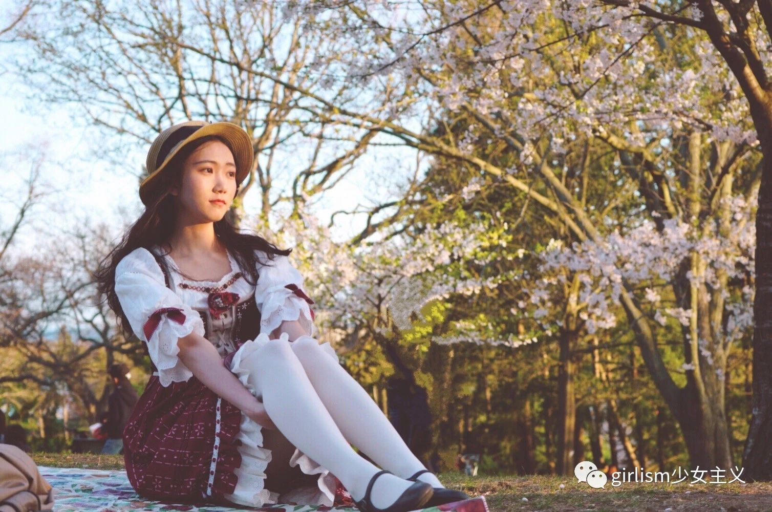 樱花与Lo|春天来了,好想穿上小裙子去赏花啊