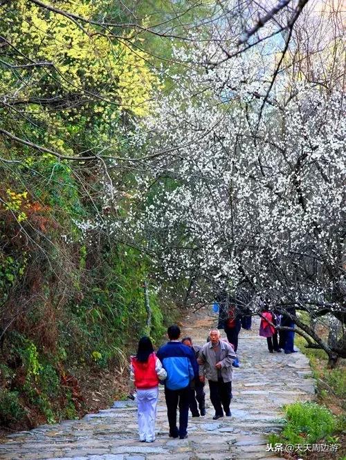 寻找广东最美古道秋景
