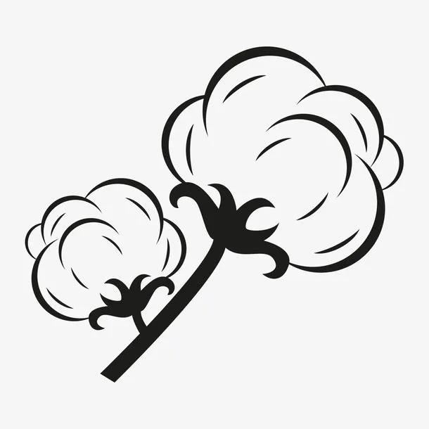 常见天然纺织纤维的性能特点,常用纺织纤维的结构与性能