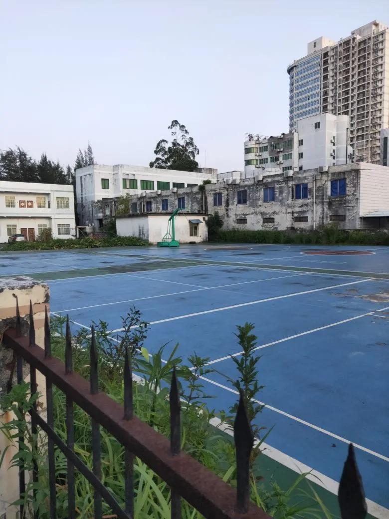 钦州港这块地已经成了菜地？网友提议建成大家受益的球场