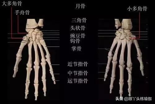 100个放松自己的方法,十个放松动作