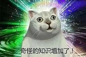 苹果微信多开教程图解,苹果微信多开超详细教程