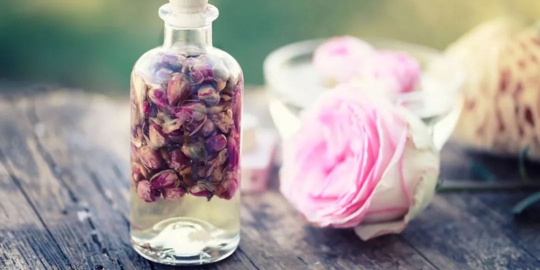 一滴纯露，十万玫瑰，她和她的大马士革玫瑰之梦