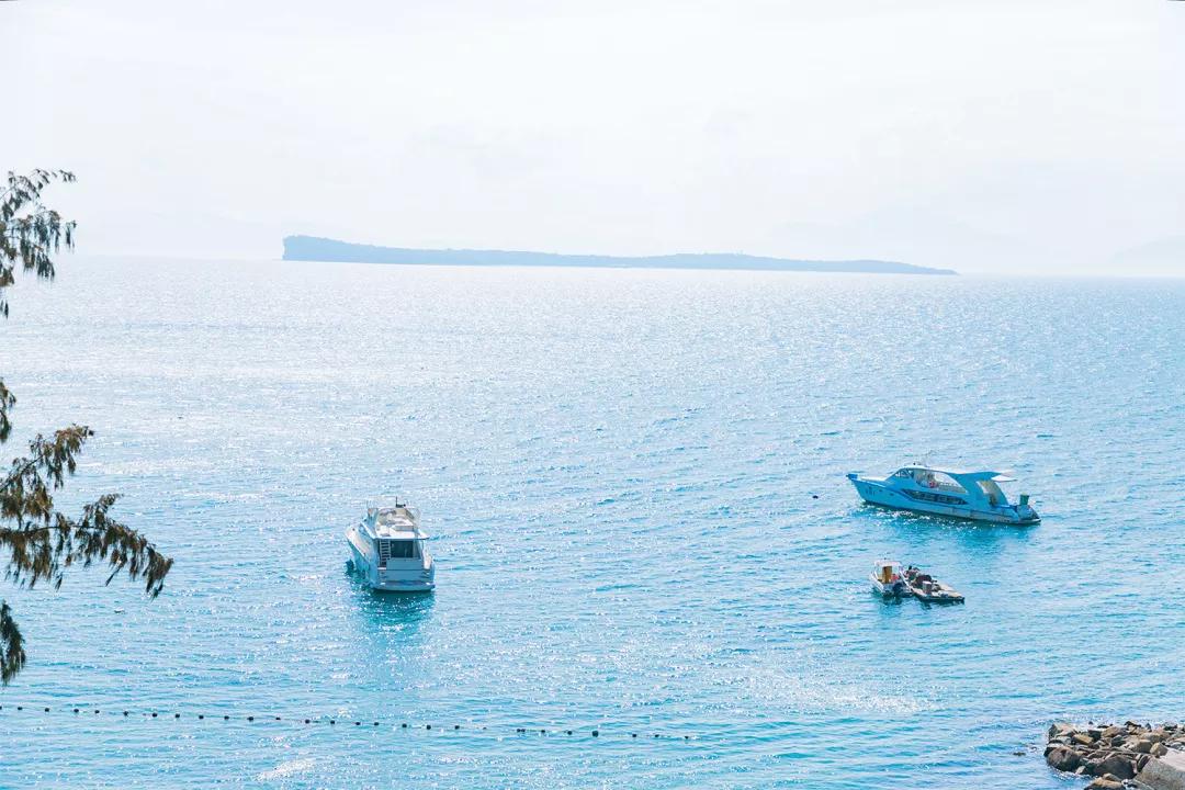 深圳这10条绿道你去过没,深圳十大绿道排行榜