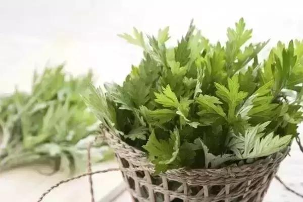 助睡眠的云南中草药,可以让人快速入眠的中草药