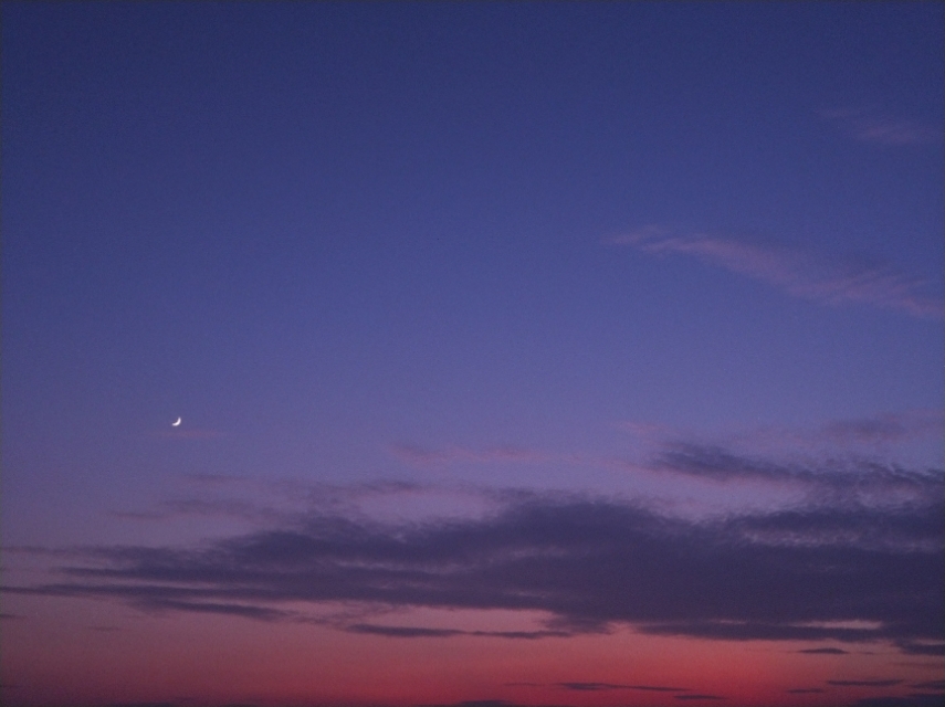 治愈系小森林图片,小森林日式小清新