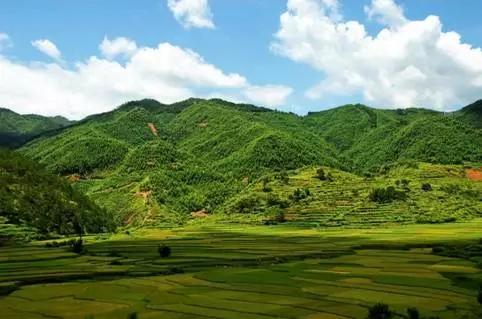 广东草原风景区,广东最美大草原