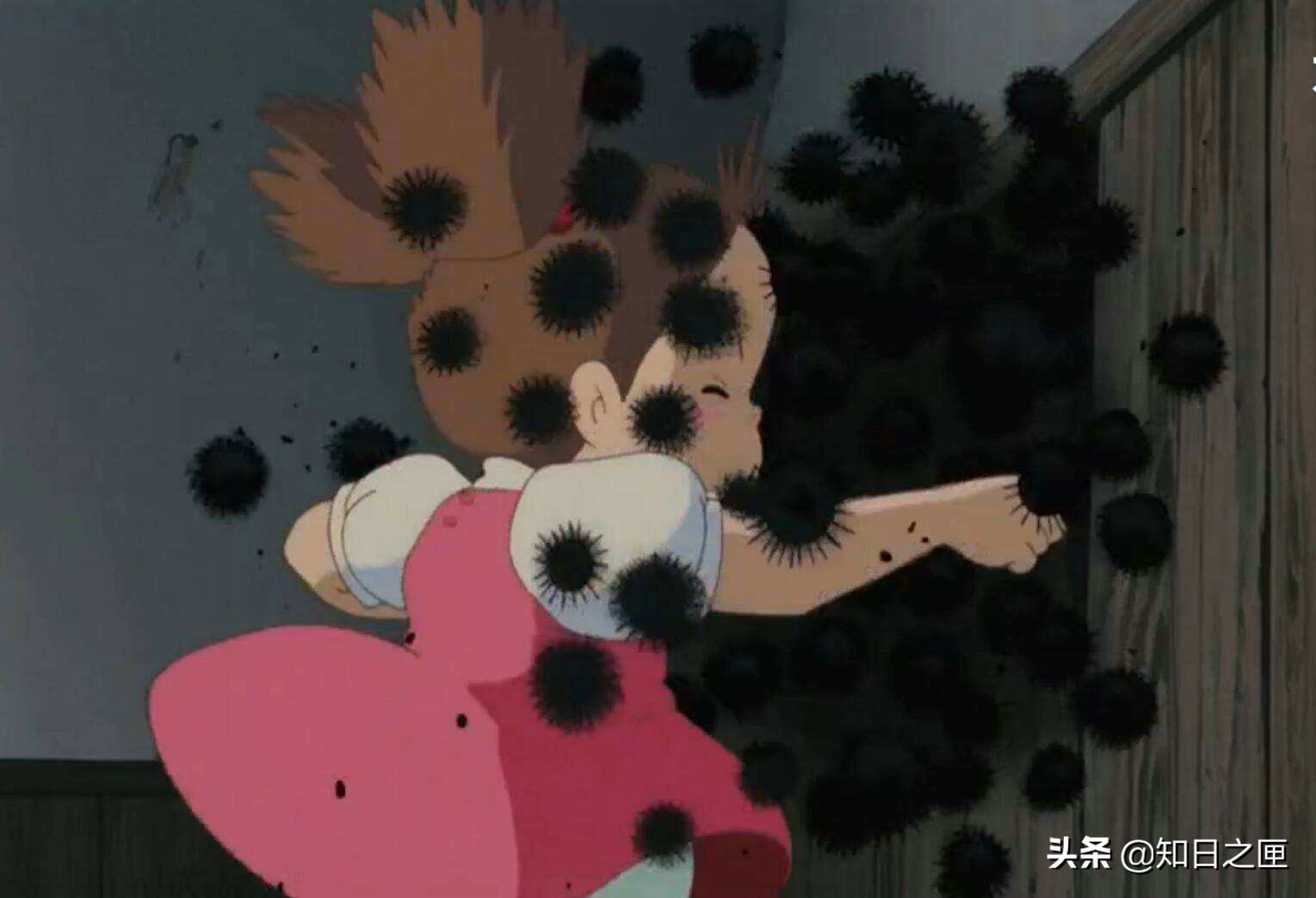 龙猫在日本的什么地方 (萤火之森和龙猫)