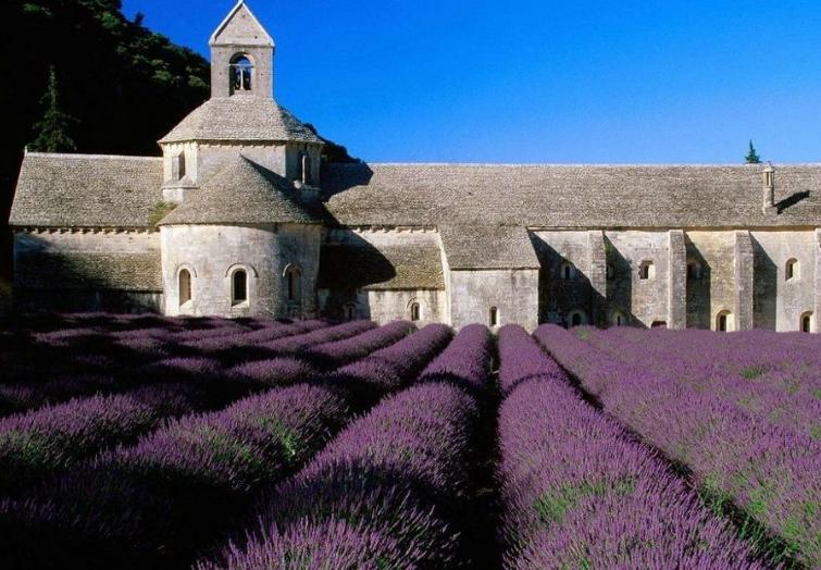 深圳本地游旅行社十佳排名,深圳旅游团国庆旅游