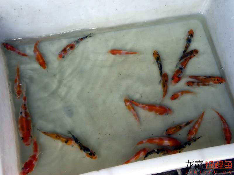 开渔场赚钱吗,开渔场需要多少资金