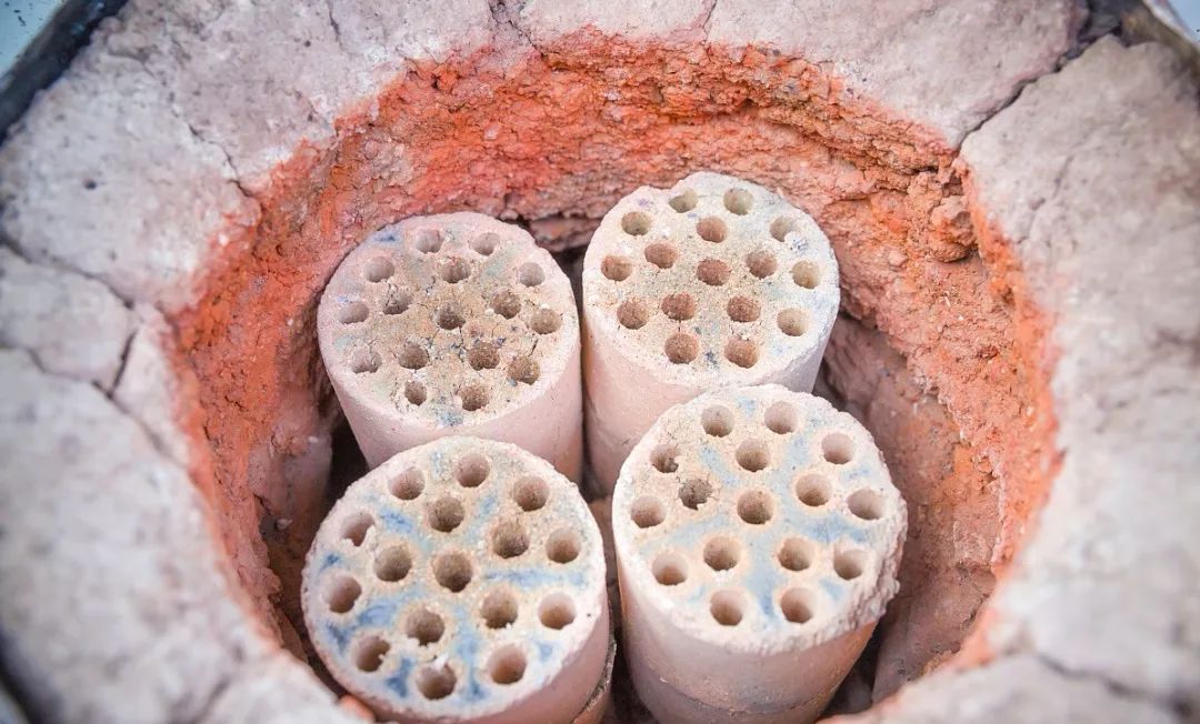 多肉变废为宝方法,废物利用养多肉