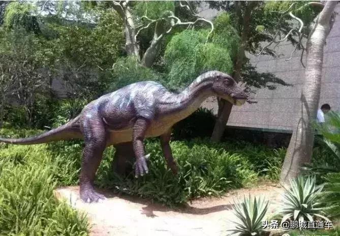 深圳60个最适合一日免费景点,暑假深圳旅游必去十大景点