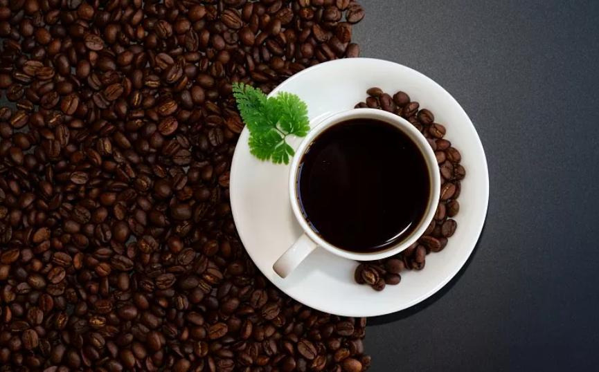 猫屎咖啡和普通咖啡哪个好喝,猫屎咖啡是最好的咖啡