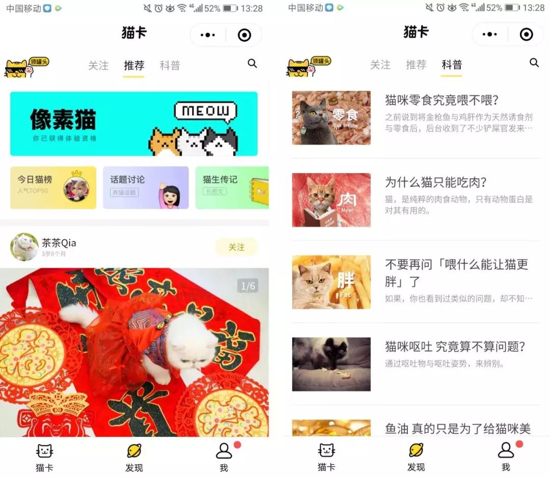 从学猫叫到猫爪杯，千亿级萌宠市场，下一个风口离你有多近？