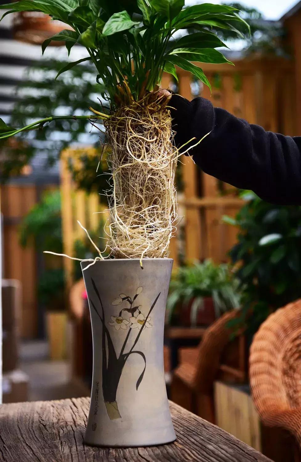 紫陶怎么辨别优劣真假,紫陶泥料贵吗