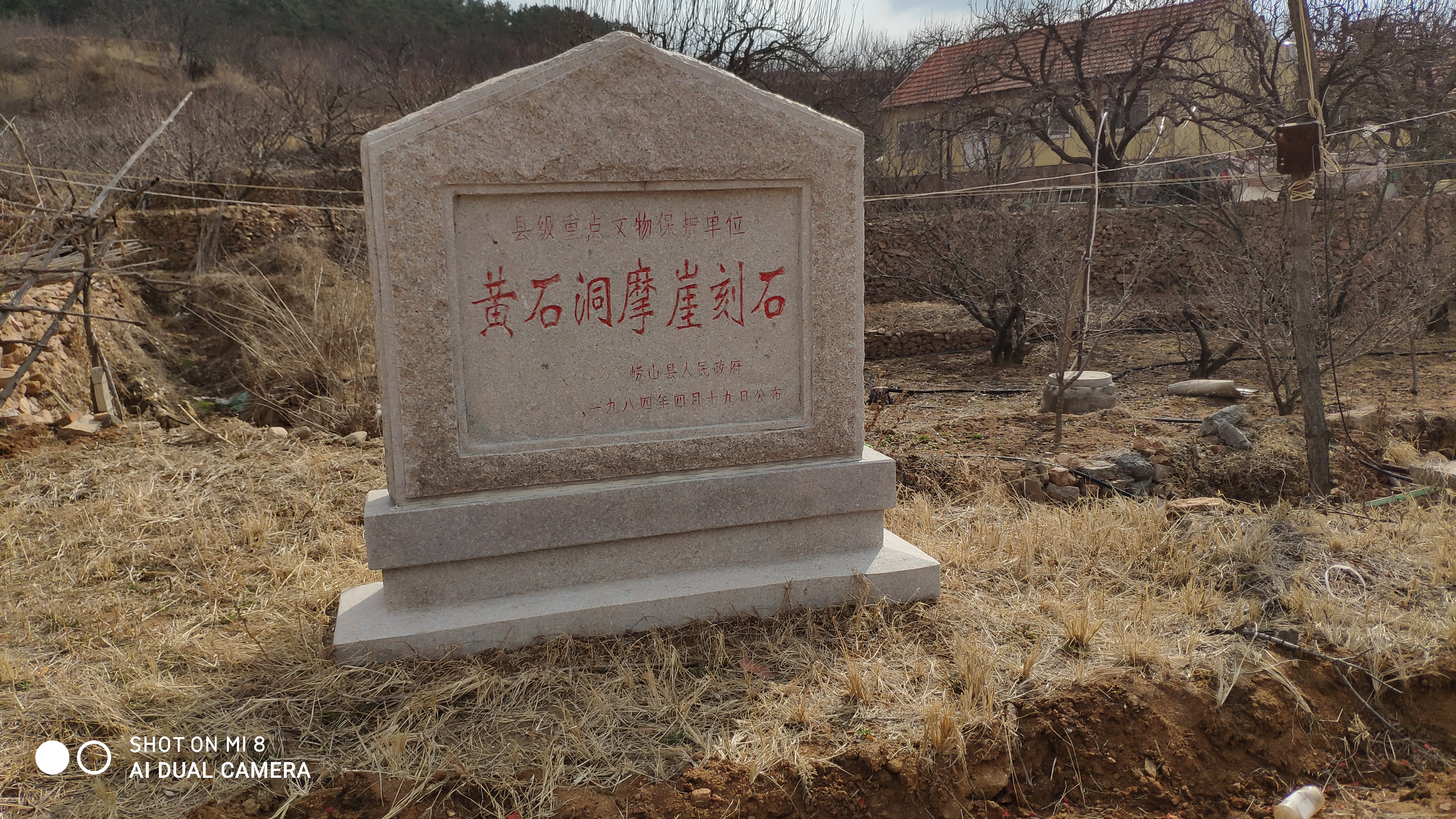 崂山水畔菜蔬鲜,黄石洞中书韵长