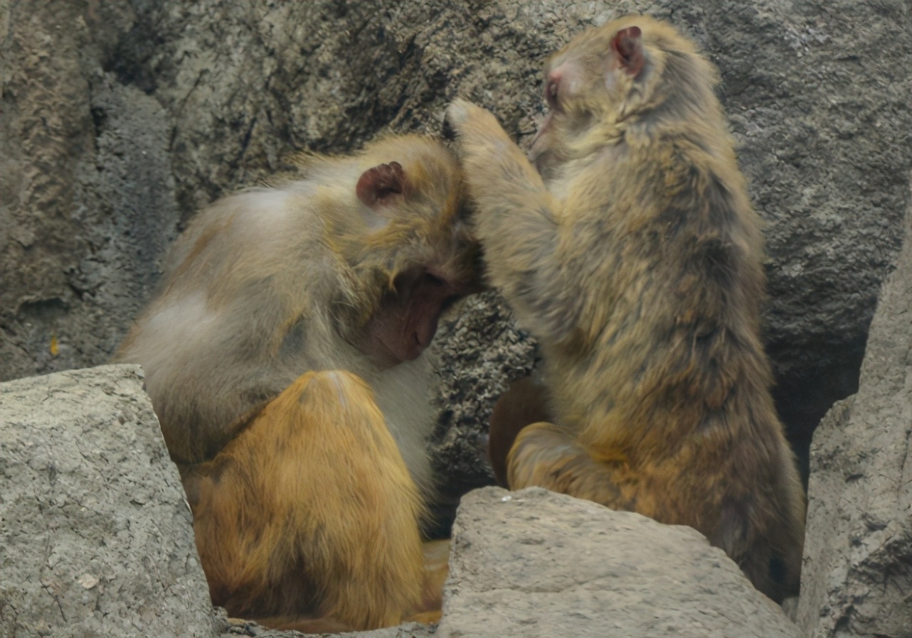 几十年前的农村几乎身上都有虱子,30年前的农村几乎人人都有虱子