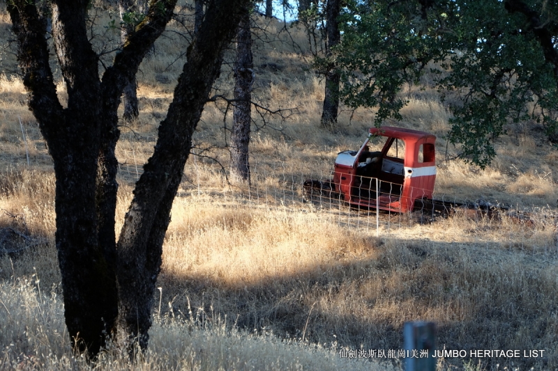 第3045回：人生一世草生一春，来如风雨去似微尘