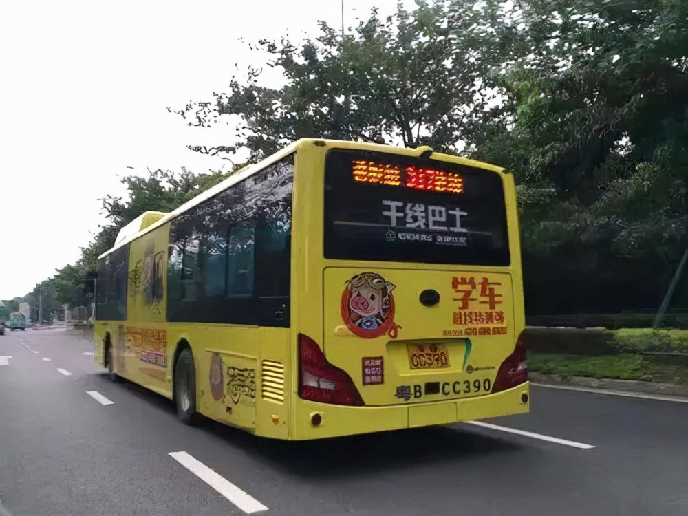 驾校3万学员被坑2亿元,网红驾校破产