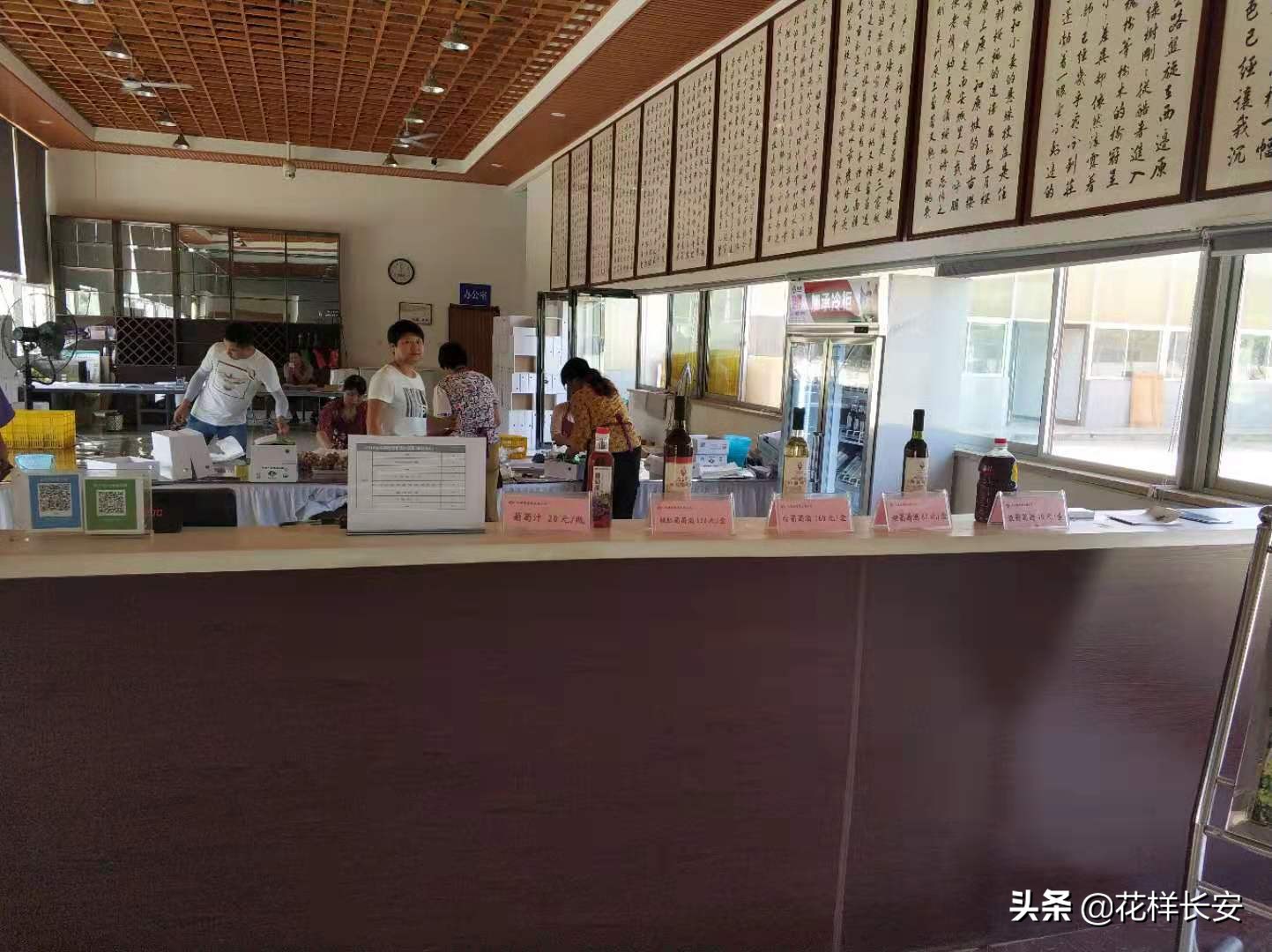 葡萄熟了玩耍视频,葡萄熟了采摘园