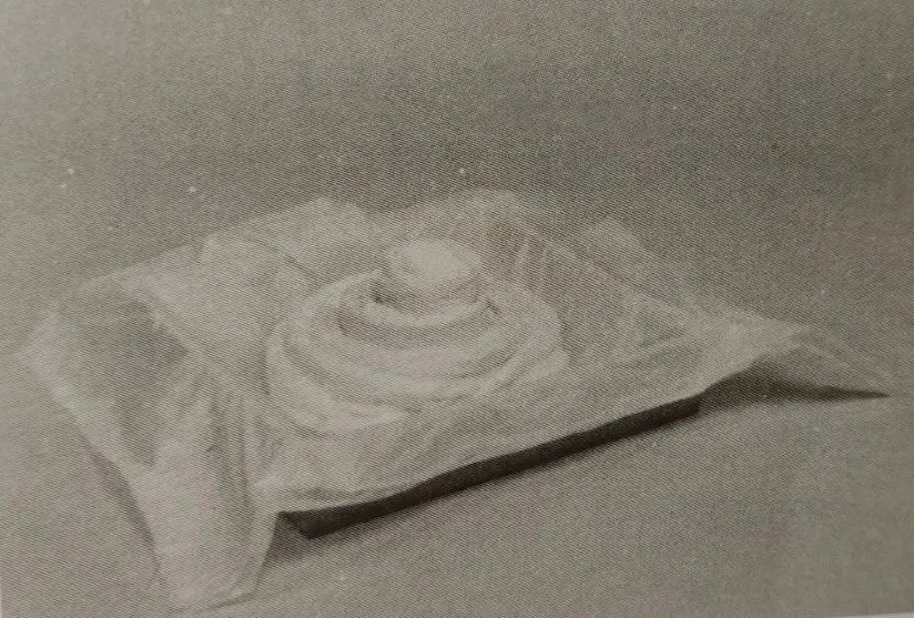 *物文**及艺术品包装运输指南——甲胄