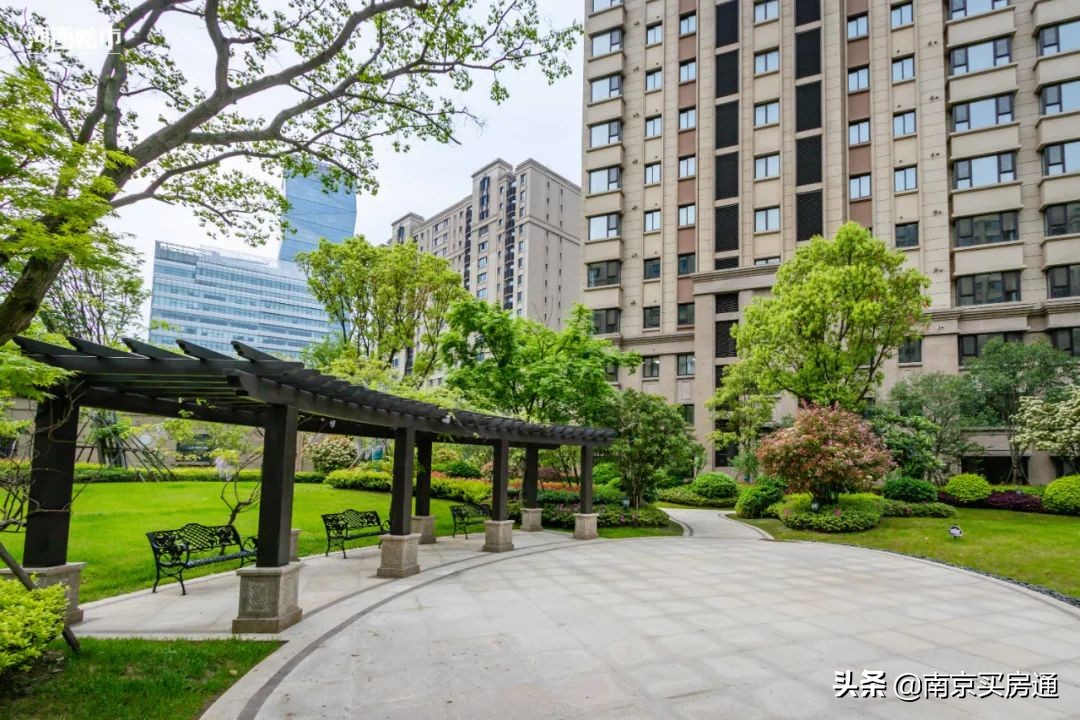 河西中新豪宅全景图,河西中心豪宅内部图片