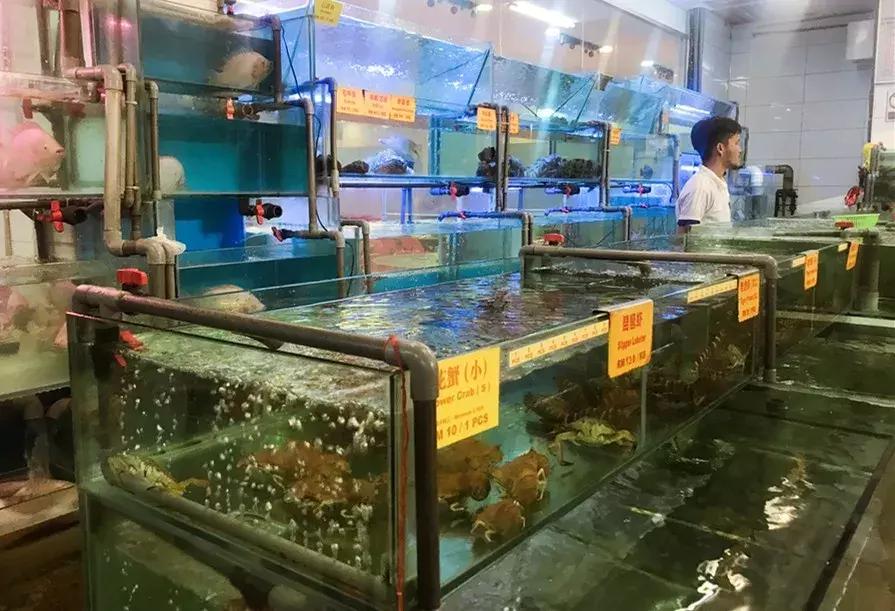 马来西亚适合游玩的岛,马来西亚阳光大海