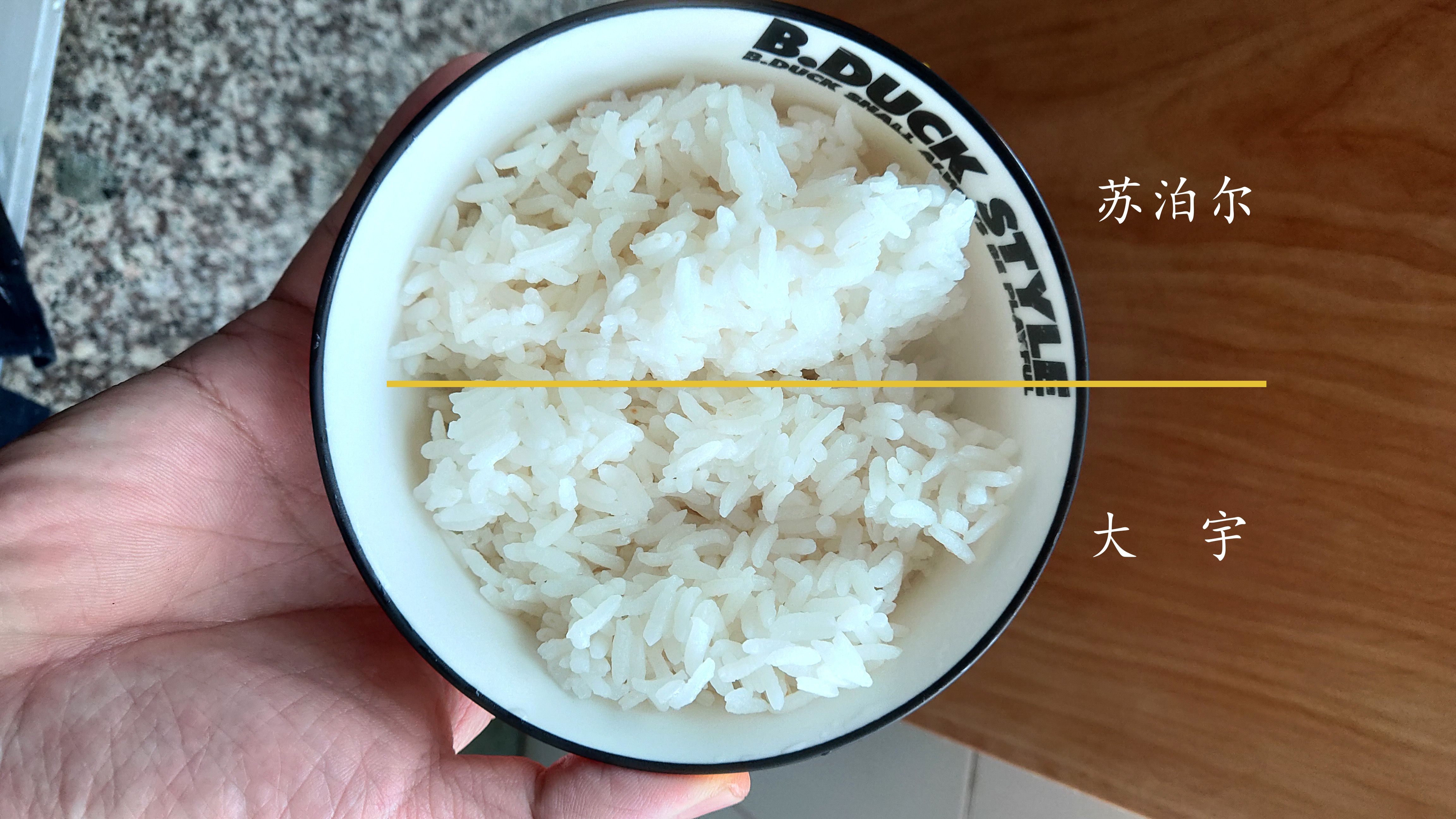 大宇电压力锅炖肉模式,大宇电压力锅怎么炖肉