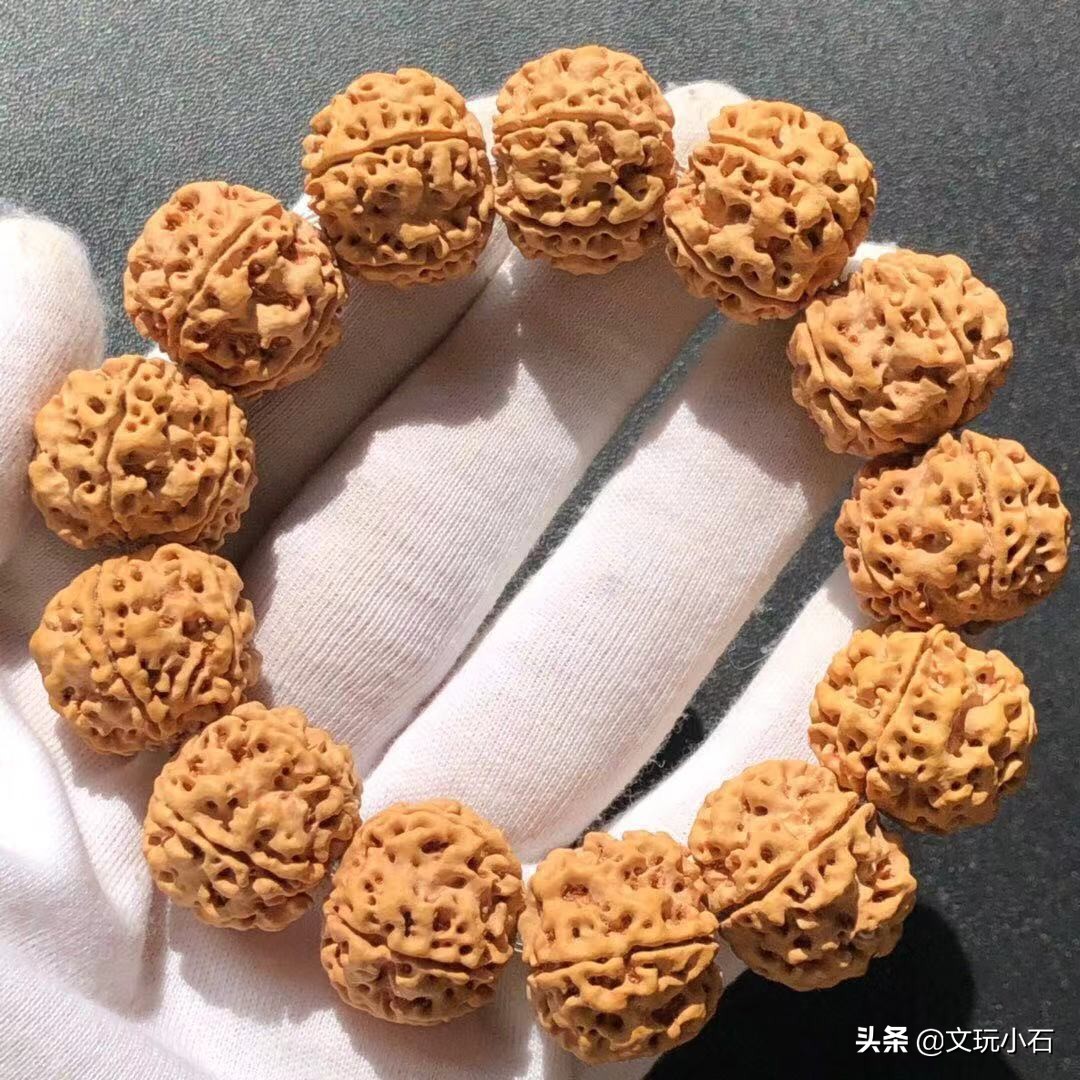 如何避免金刚菩提断齿,霸王花金刚菩提断齿吗