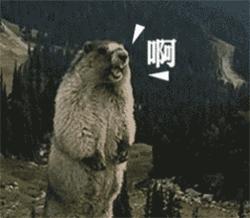 曾经抖音卖的最火的产品，买回来我觉得我智商该充话费了