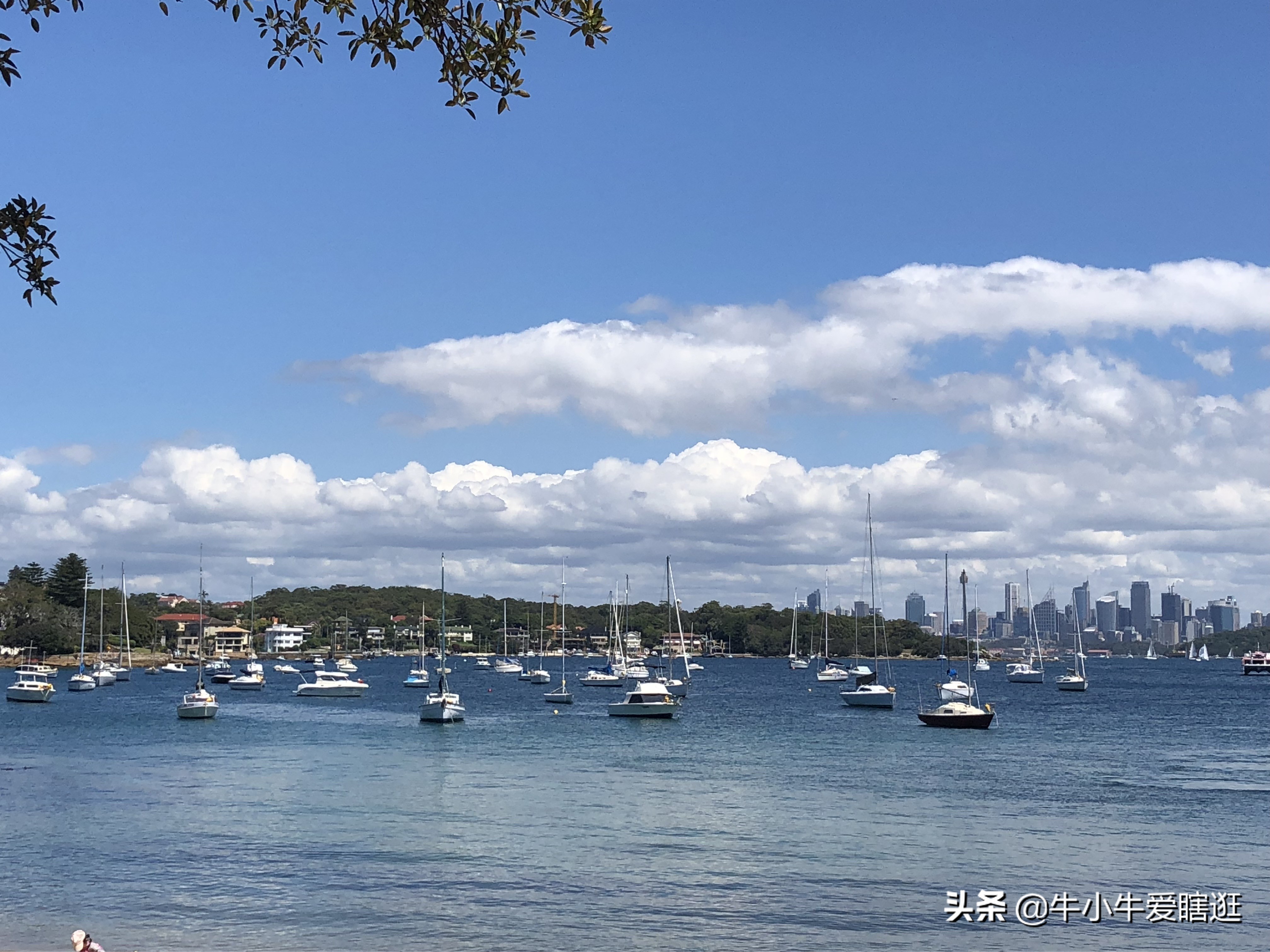 悉尼7日游自由行攻略,澳洲阿德莱德旅游攻略