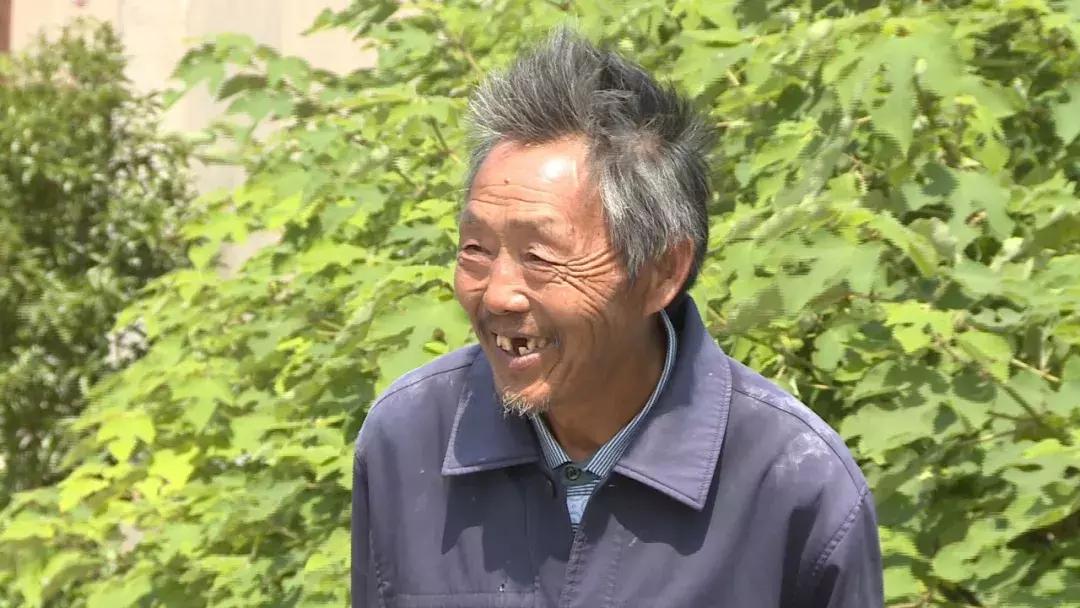 花桥镇种养合作社,花桥镇农业种植