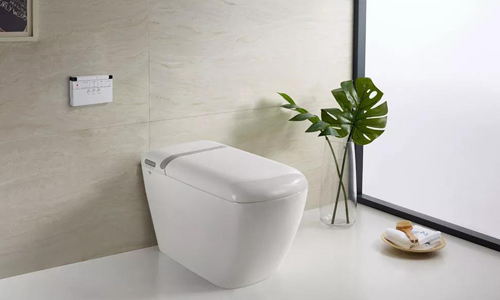 有人买智能马桶后悔的吗,大家有必要购买智能马桶吗