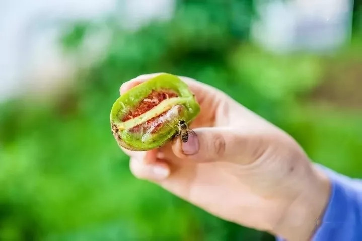 户撒佛祖的后花园现在怎么走,户撒为什么叫佛祖后花园